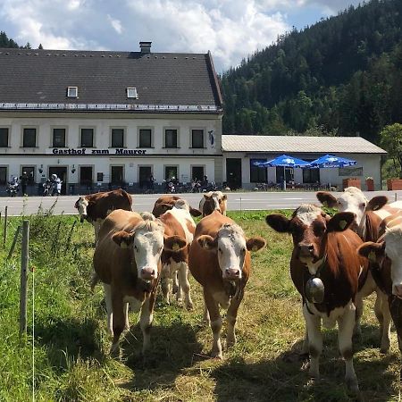 Gasthof Zum Maurer Hotel มาเรียตเซลล์ ภายนอก รูปภาพ